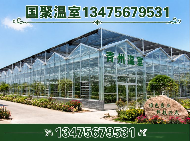 安丘市国聚温室展示图
